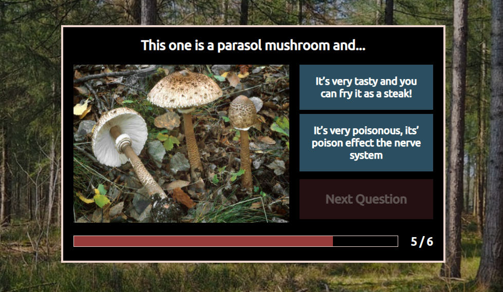 Mushroom Quiz